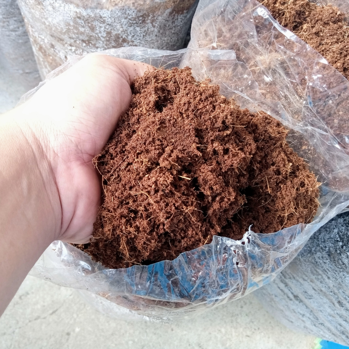 A hand scooping up coconut coir.