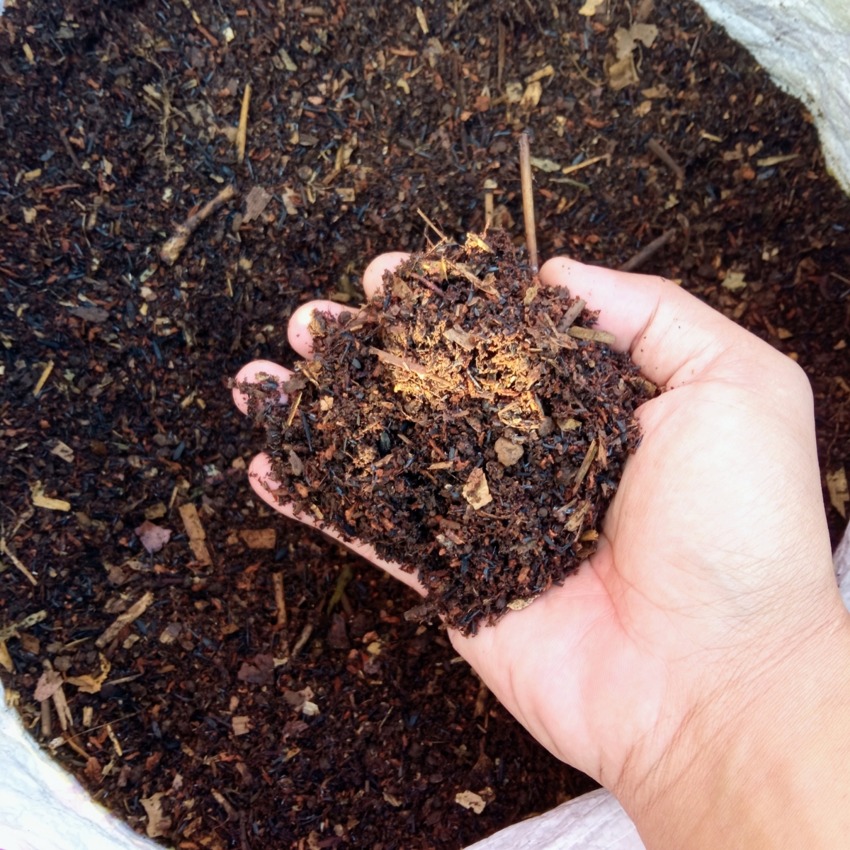 A hand holding a scoop of homemade compost.