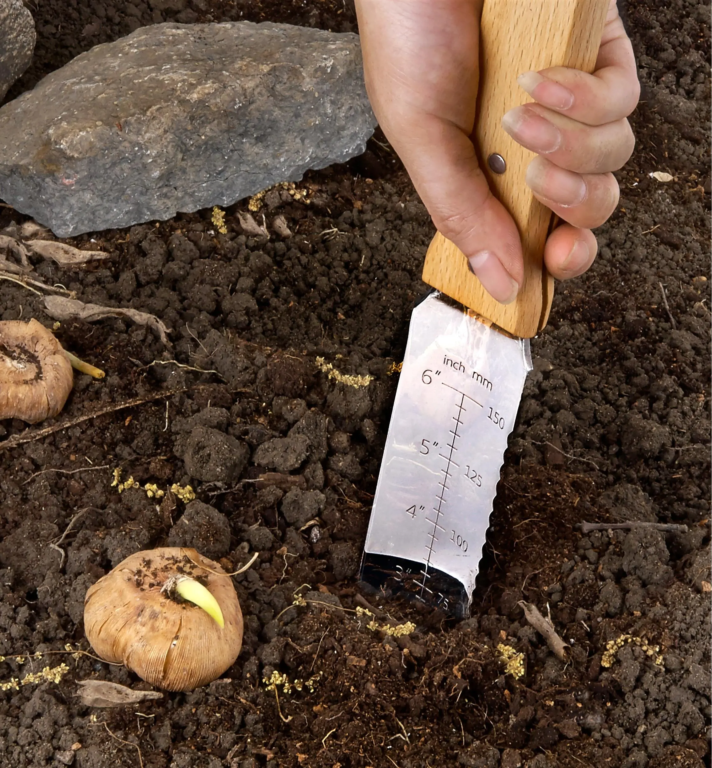 A hori hori knife going into the soil.