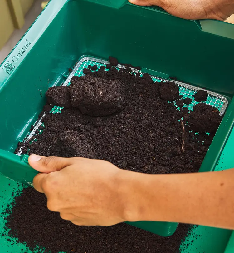 Sifting soil through a soil screener.
