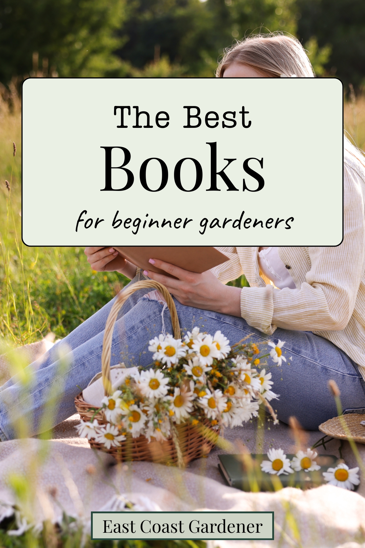 A woman reading books on a picnic blanket, with a basket of daisies.